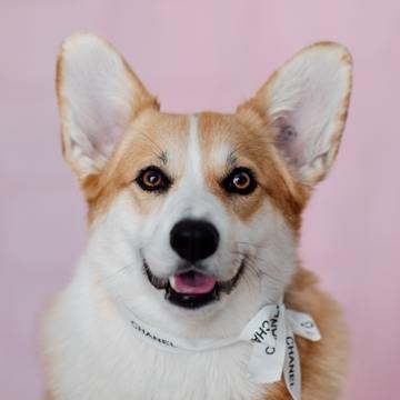 Ivana La Tyczhr54ddk Unsplash Ivana La Tyczhr54ddk Unsplash