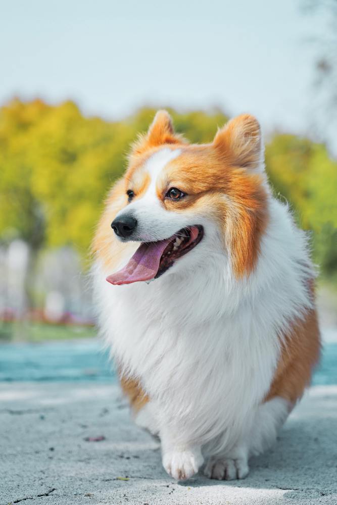 main Alvan Nee Egnafvys H0 Unsplash
