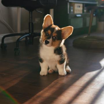 Brandon Cormier Uc3jhswitmo Unsplash Brandon Cormier Uc3jhswitmo Unsplash